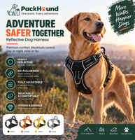 PackHound Reflective No-Pull Adventure Harness